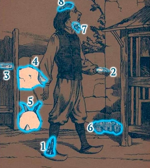 Посмотреть ответ: