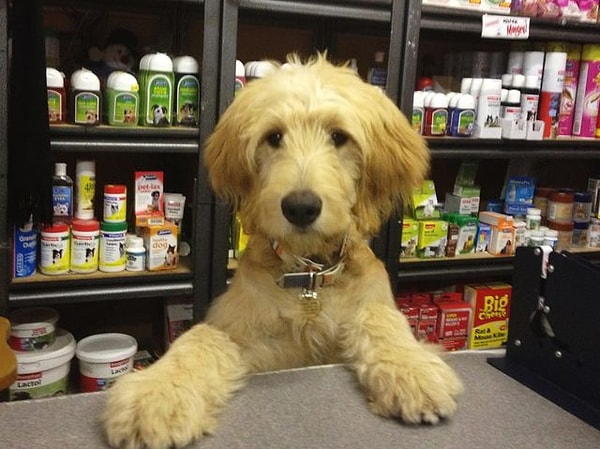 5. Кого из них вы бы хотели взять к себе?