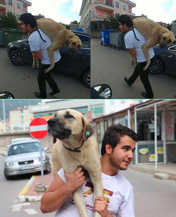 15. Yerde hareketsiz yatan bir sokak köpeğini gören Ahmet Can Derneklioğlu, hayvanın hareket edemeyecek kadar hasta olduğunu görünce, köpeği tedavi ettirmek için 500 metre sırtında taşıyarak veterinere götürdü.