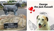 What Did We Do To Deserve Dogs? George the Jack Russell Dies Saving Kids!