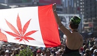 Canadians Are Cheering! Canada Has Legalized Recreational Marijuana!