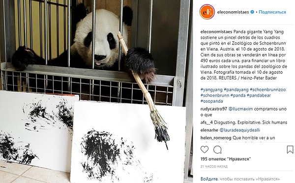 1. Панда Ян Ян живет в австрийском зоопарке и удивляет посетителей своим талантом