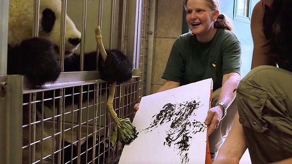 4. На работы животного обратили внимание и эксперты в области живописи. Так, искусствовед Тулузы Ле Пло считает, что брызги красок панды можно сравнить с творчеством экспрессиониста Джексона Поллока