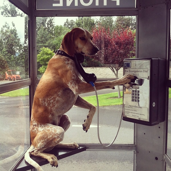 11. Когда села батарея и ты не можешь вспомнить ни один номер :)