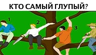 Тест: Кто самый глупый на дереве? Сделайте выбор, а мы проведём психологический анализ вашей личности