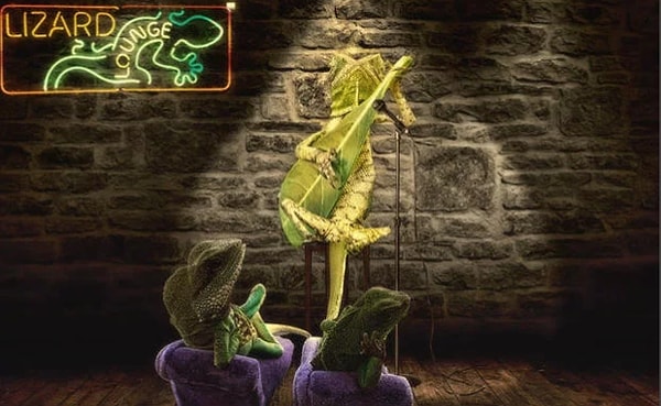 ...в вот такую суперзвезду!