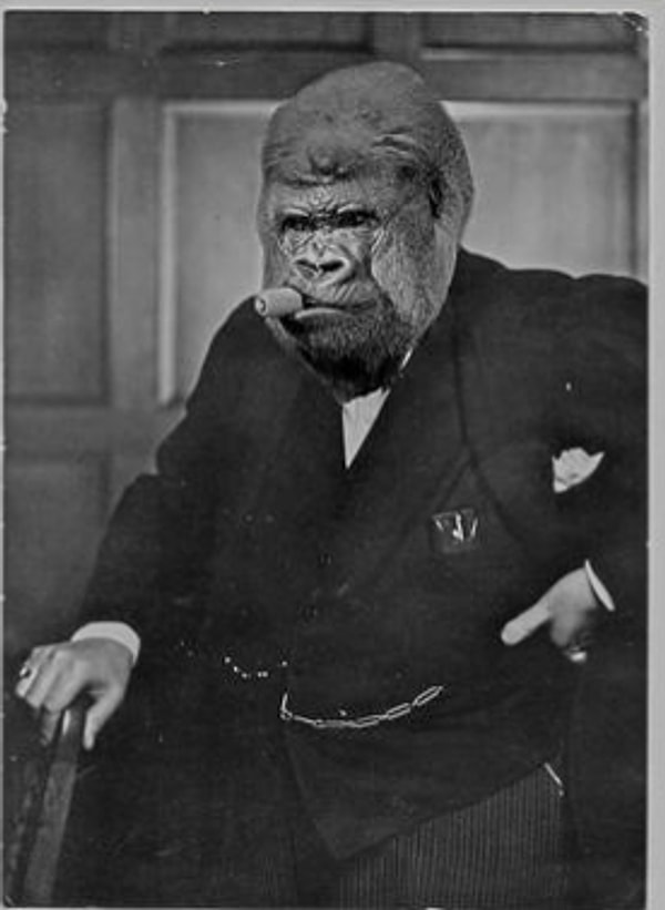 ...в такого вот аристократа с сигарой...