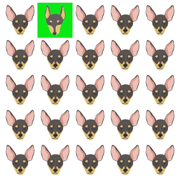 Посмотреть ответ: