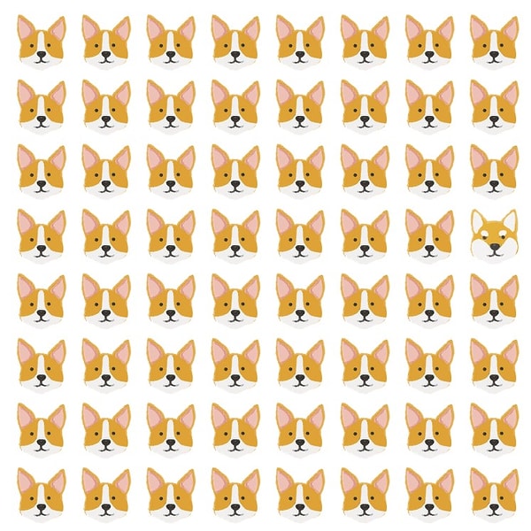 10. Финальный рывок!