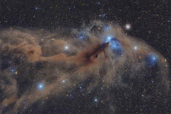 "Yıldızlar ve Nebula" - "Corona Australis Toz Bloğu" ile Mario Cogo (İtalya)
