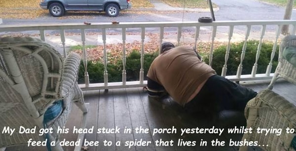 7. «Вчера мой отец застрял на балконе между перилами, когда пытался скормить мертвую пчелу пауку, который живет в кустах».