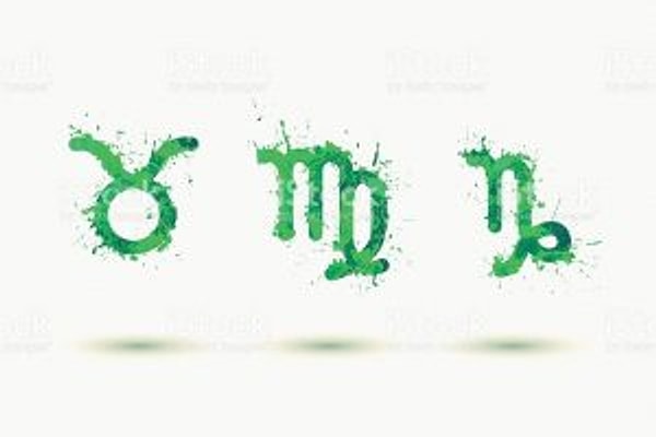 По темпераменту вы относитесь к Стихии Земля!