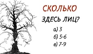 Тест на взаимосвязь зрения и мозга: Адекватно ли ваше восприятие реальности?