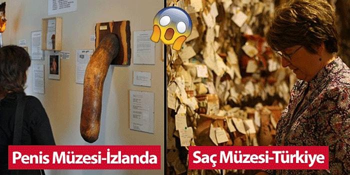 İnsan Gerçekten Hayret Ediyor! Türkiye'nin de Listede Yer Aldığı Dünyanın En Tuhaf 20 Müzesi
