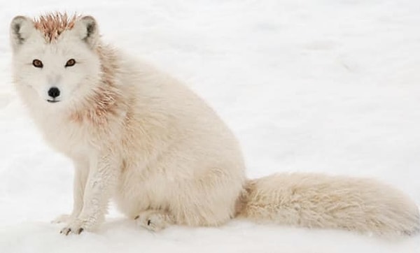 Посмотреть правильный ответ👇