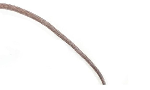 4. Кто может являться обладателем этого хвоста, сильно смахивающего на шнурок?