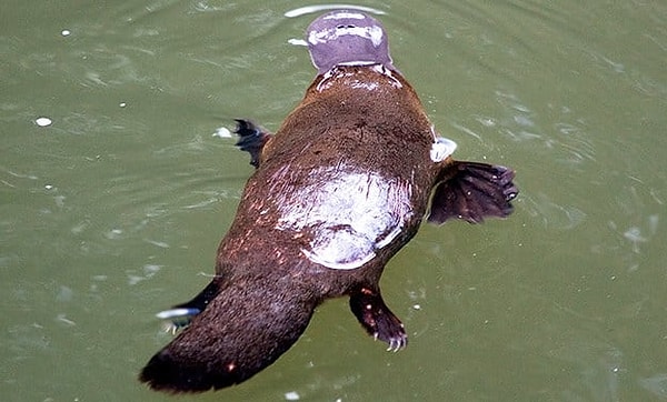 Посмотреть правильный ответ 👇