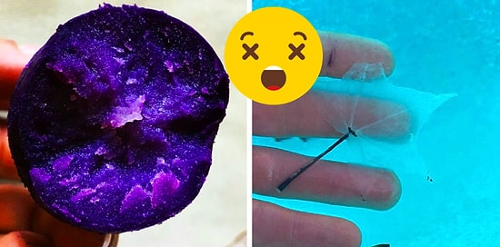 Необычные вещи, которые вы вряд ли когда-то ещё увидите своими глазами