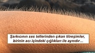 Tüylerimizin Diken Diken Olmasına Aslında Ne Sebep Oluyor Biliyor musunuz?