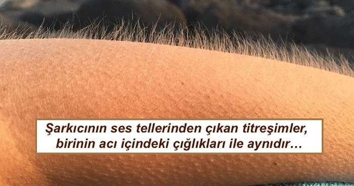 Tüylerimizin Diken Diken Olmasına Aslında Ne Sebep Oluyor Biliyor musunuz?