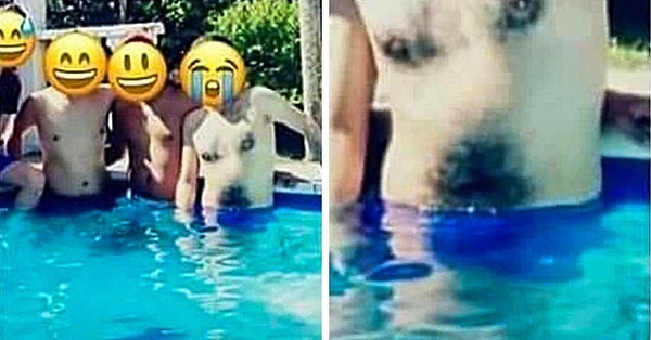 17. Какая милая футболка с песиком... Хотя стойте...