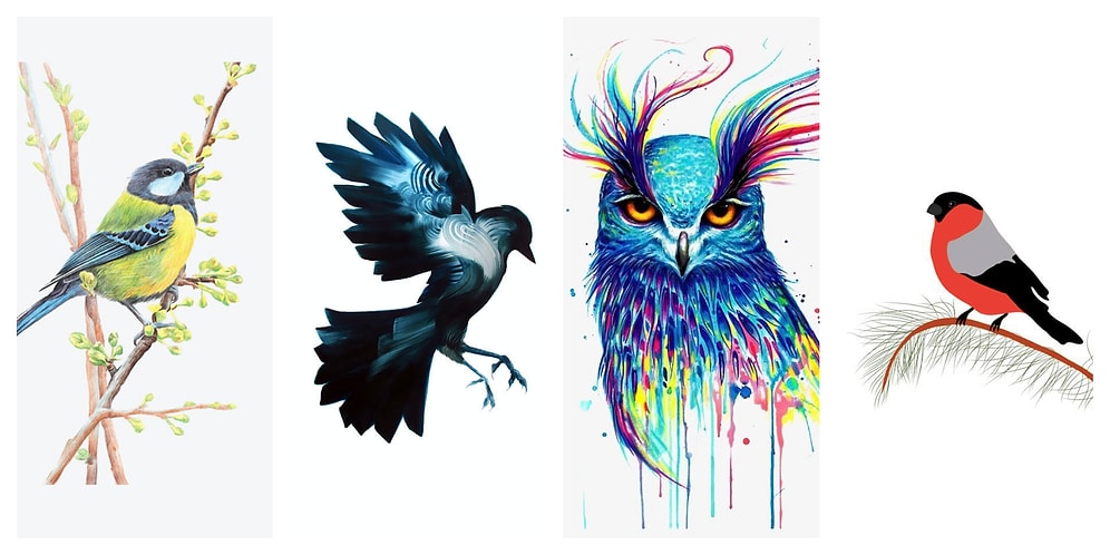 Тест: Выберите птицу и получите совет, который вам так необходим