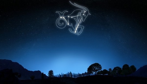 10. Козерог: сам знает, сколько ему спать