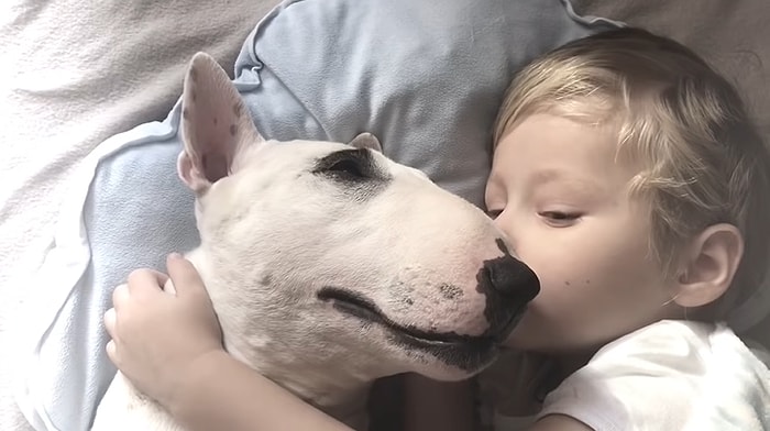 Yorgun Düşüp Birbirlerine Sarılarak Uyuyan İki Miniğin Aşırı Sevimli Anları