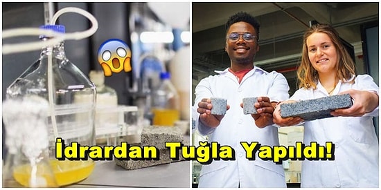 'Yaralı Parmağa İşemek' Deyimi Gerçek Oldu: İnsan İdrarından Tuğla Üretildi!