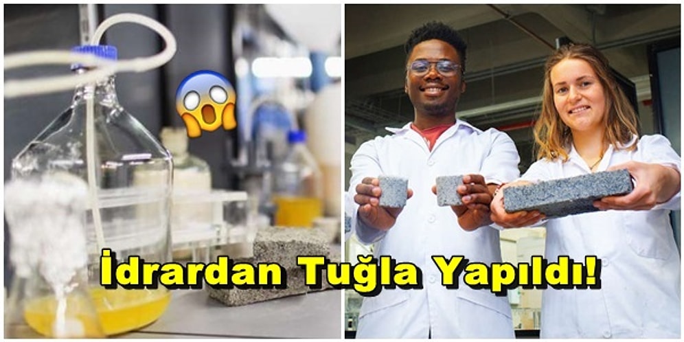 'Yaralı Parmağa İşemek' Deyimi Gerçek Oldu: İnsan İdrarından Tuğla Üretildi!