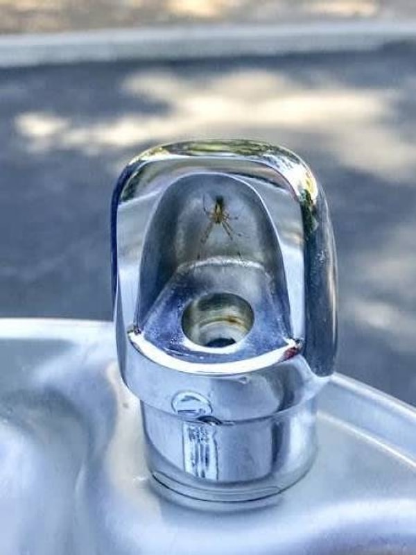 8. Страх фонтанчиков на всю жизнь