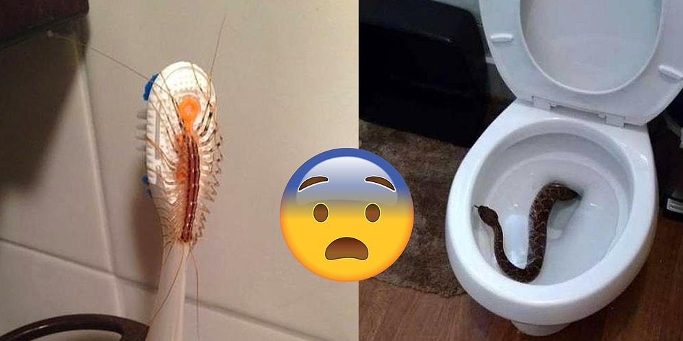 Фотографии, увидев которые, хочется улететь с этой планеты далеко и надолго