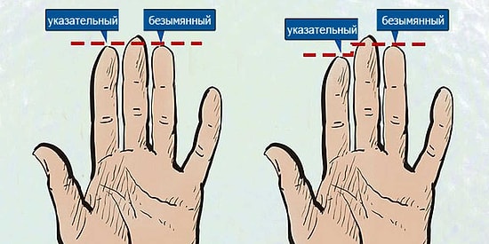 Тест на ориентацию, согласно исследованиям британских ученых