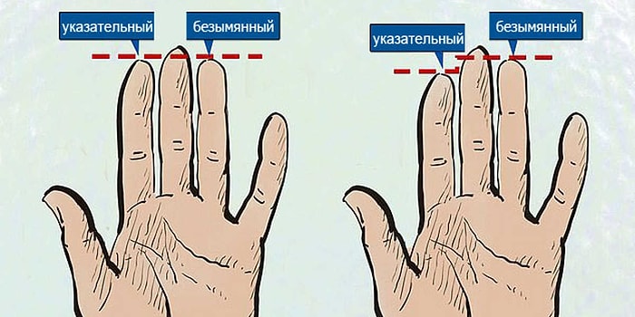 Тест на ориентацию, согласно исследованиям британских ученых
