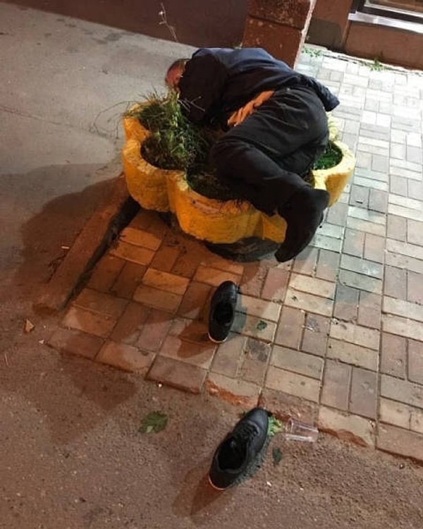 1. Очередной цветочек на клумбе жизни... 🌸