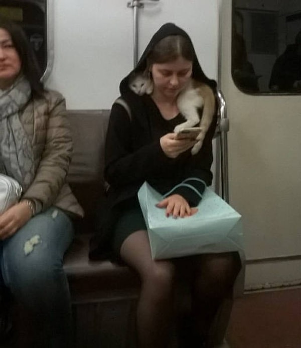 7. Зачем вам все эти искусственные экологические меха, если есть просто кот? 😂😺