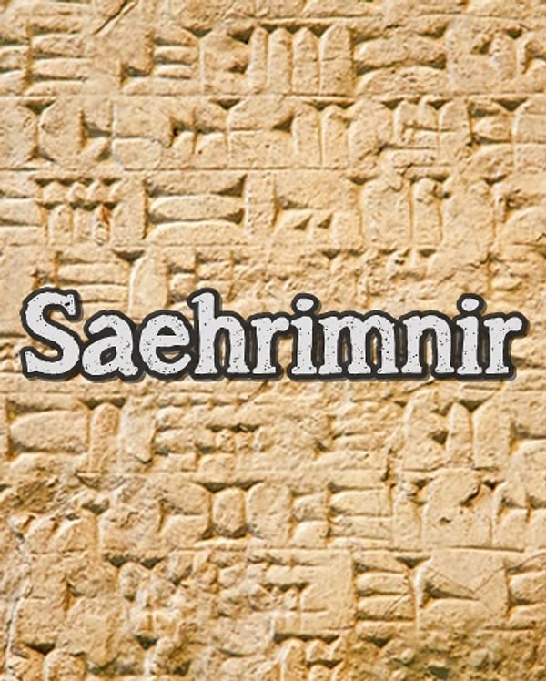 В первобытном обществе вас бы звали Саермнир!