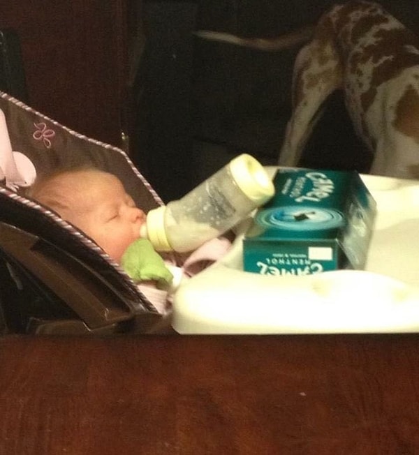 1. И малыш накормлен, и родители свободны