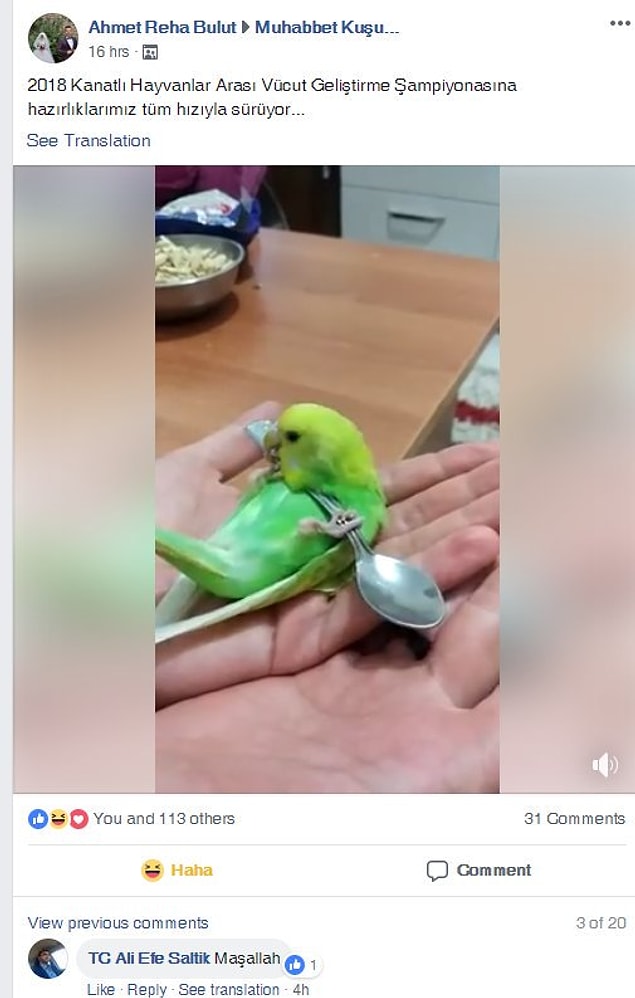 7. Orantısız bir zeka örneği daha...