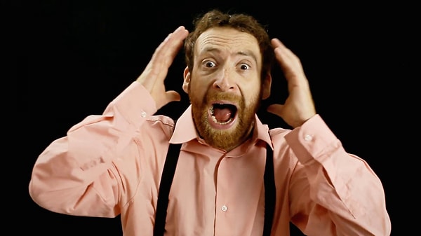 10. Каких животных боится гиппофоб?