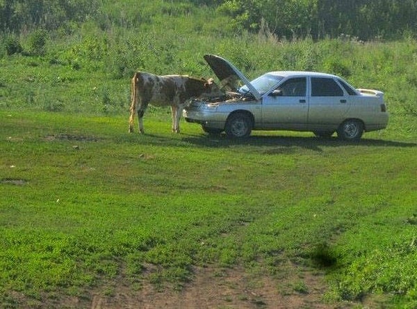 15. "Ну-ка, что там у тебя, Серега? Да как ты вообще с таким карбюратором ездишь?!"