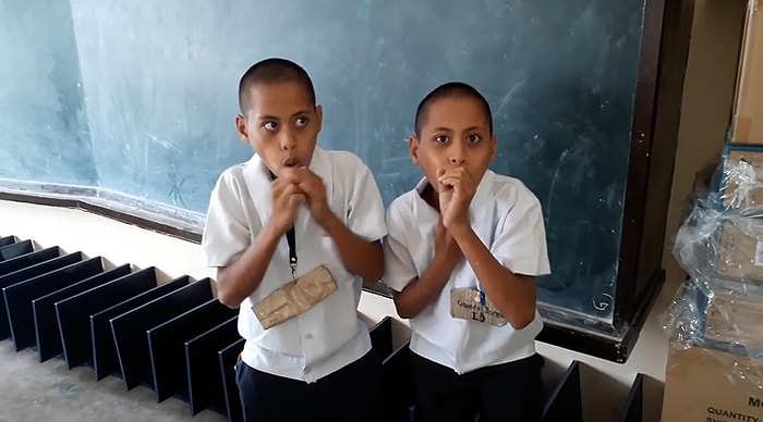 Martin Garrix'in 'Animals'ını Muazzam Bir Performansla Beat Box Yapan İkiz Çocuklar