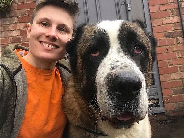 8. Непонятно, кто мог устроить салют так близко от приюта, ведь он расположен немного в дали от города.