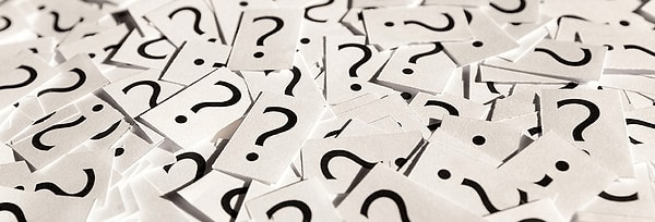 8. Какой цвет волос у Лены?