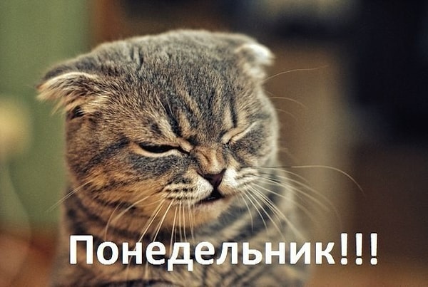 Понедельник