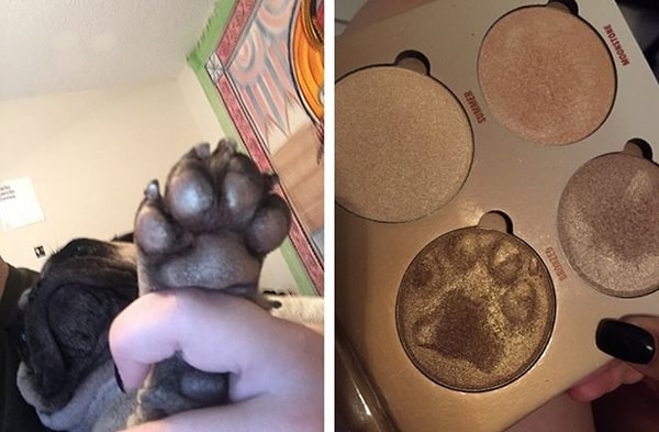 11. Вот так еще обиднее