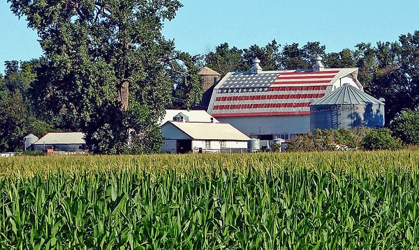 2. Какая самая популярная и широко выращиваемая сельскохозяйственная культура в Америке?