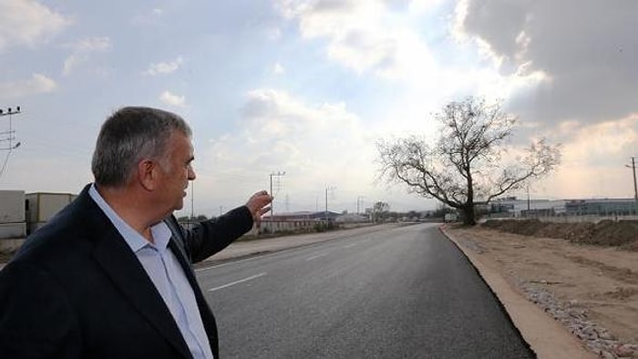 Sakarya'da 270 Yıllık Çınar Ağacının Kesilmemesi İçin Yol Güzergahı Değişti