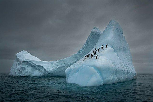 30. Gezginler, Antarktika (Doğanın Güzelliği kategorisinde üçüncülük)