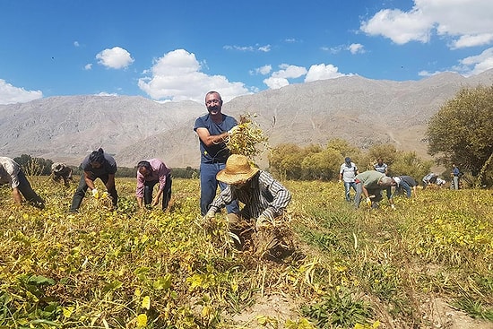 Adaylık Başvurusu Yaptı: 'Komünist Başkan' Fatih Mehmet Maçoğlu'nun Yeni Hedefi Tunceli